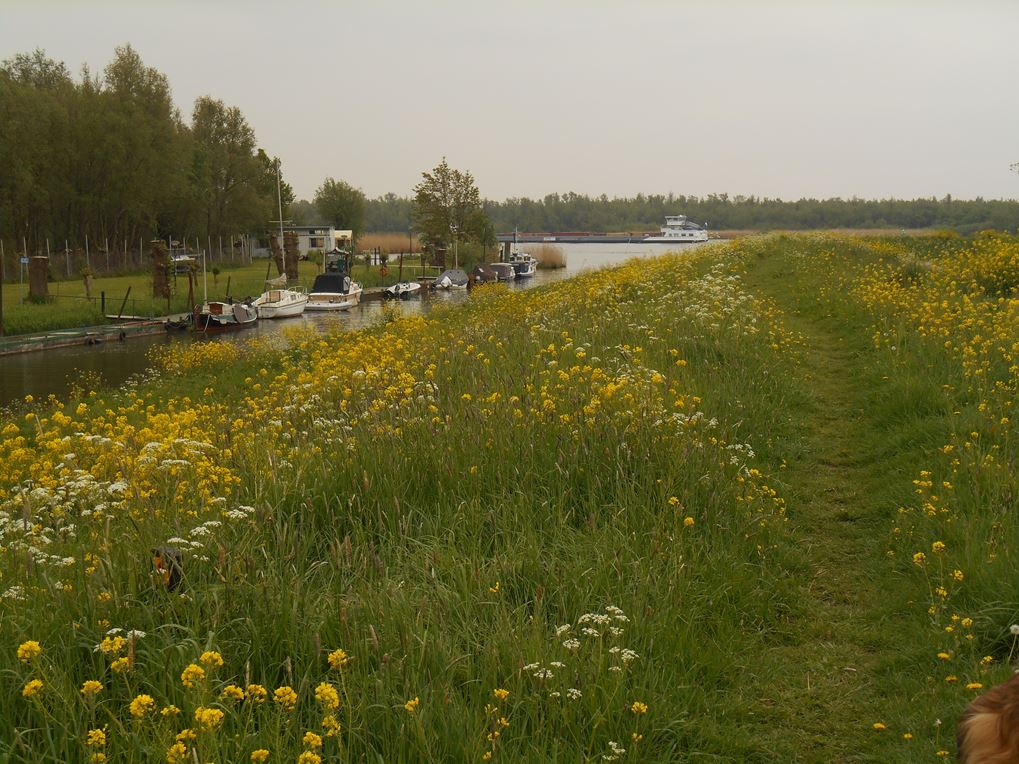 Langs de Oude Maas